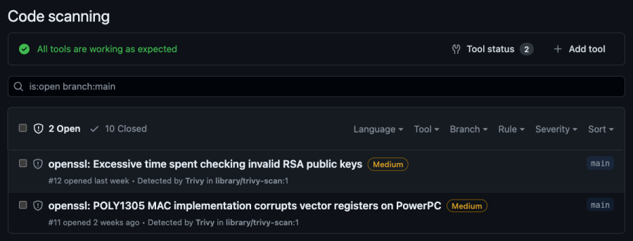 Security dashboard displaying two pending vulnerabilities