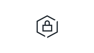 Security icon